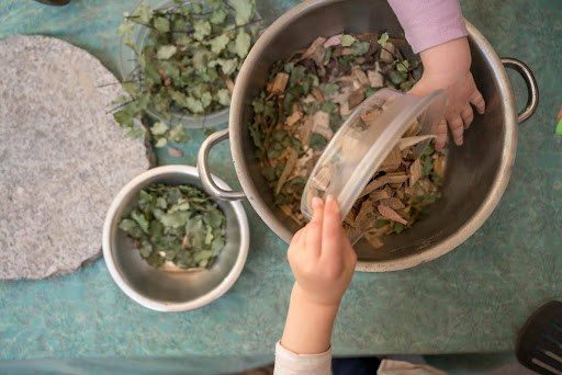 Pedagogy in Practice Series